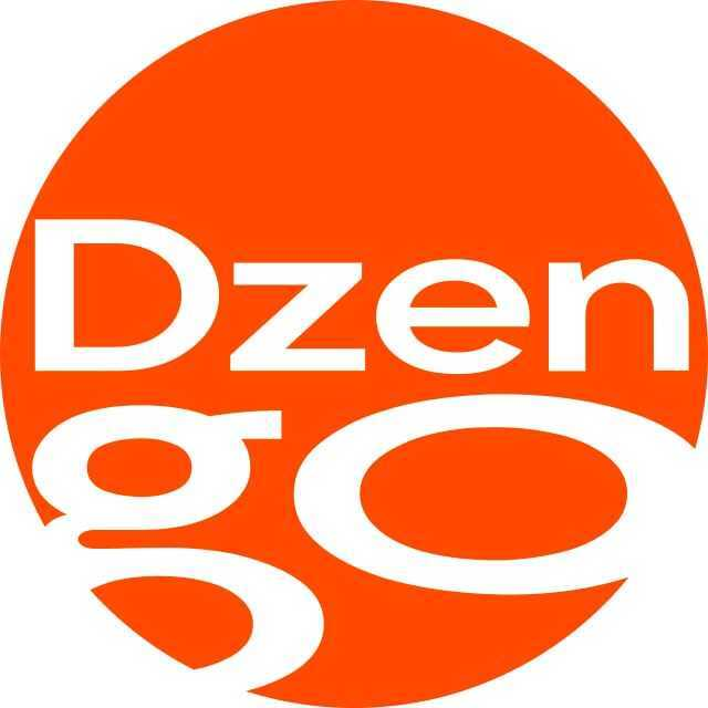 ООО "ЗУБР ЛИЗИНГ" (Dzengo)