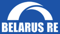 Логотип Белорусская национальная перестраховочная организация