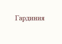 Гардиния